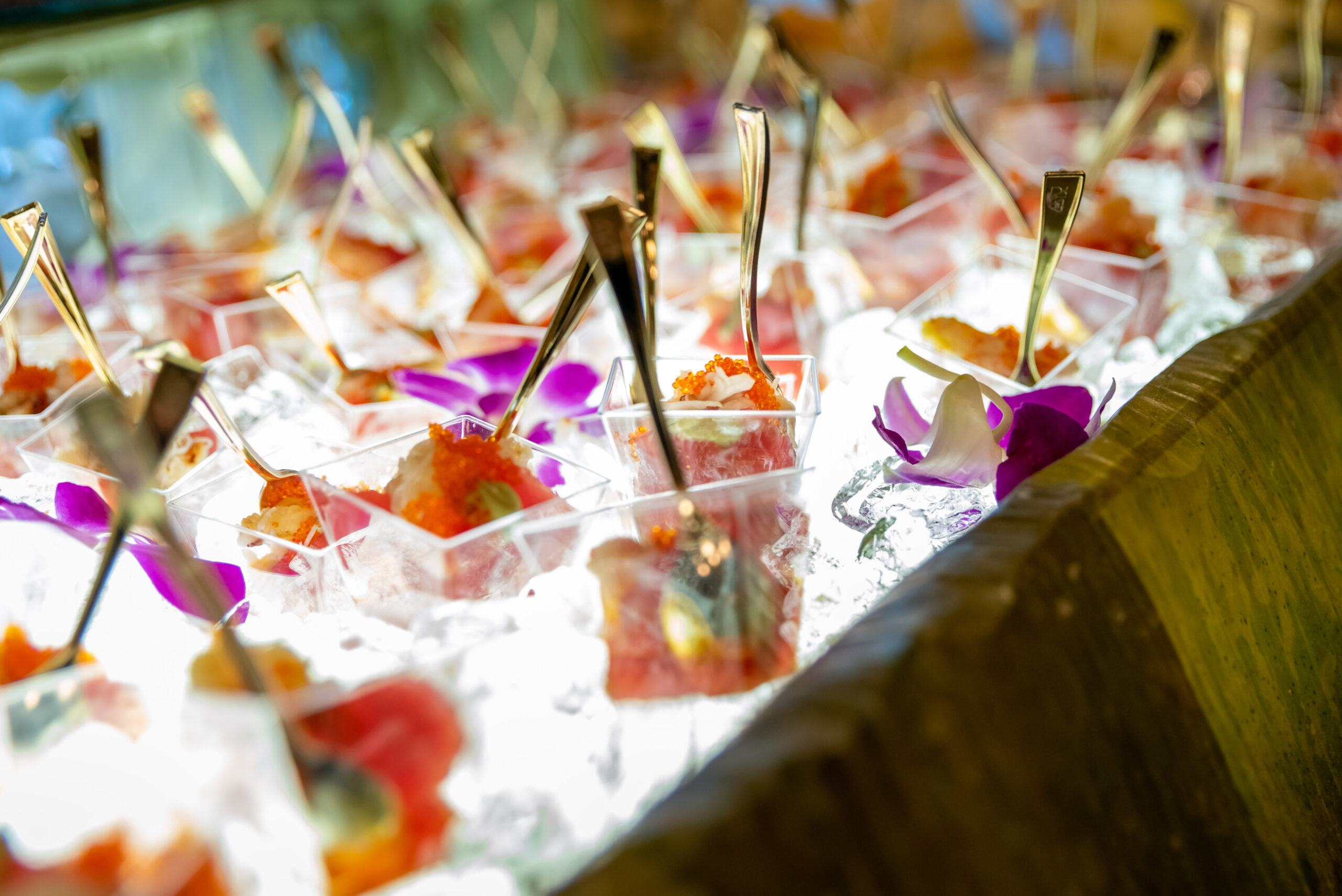 Chamber100SatDecor-0101